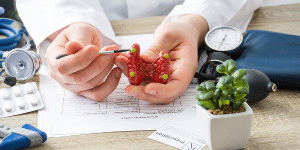 Die möglichen Auswirkungen einer Schilddrüsenhormonbehandlung auf ältere Menschen