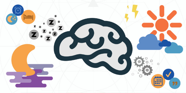 Circadianer Rhythmus und Alzheimer-Krankheit