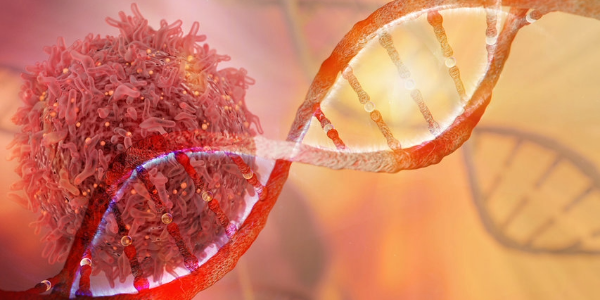 Welche Rolle mutierte Proteine bei einigen der tödlichsten Krebserkrankungen spielen
