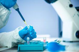 Wissenschaftler reparieren Schlaganfallschäden mit Stammzellen 1