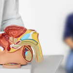 Ärzte haben einen Weg gefunden, eine der tödlichsten Formen von Prostatakrebs zu verlangsamen