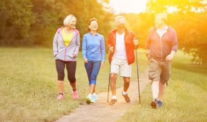 Aus Fett gewonnene Stammzellen könnten bald eine einfache und sichere Heilmethode für Wirbelsäulenfrakturen und Osteoporose ermöglichen 2