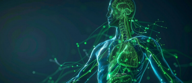 Wissenschaftler finden einen Weg, um das Immunsystem im Alter zu verjüngen