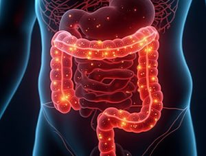 Ultra-verarbeitete Lebensmittel stehen mit einem um 47% höheren Risiko für Herzinfarkte und Schlaganfälle in Verbindung 2