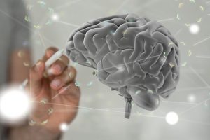 Ein Schlaganfall löst eine verborgene Veränderung im Gehirn aus, die einer Verjüngung ähnelt 2