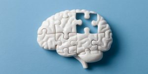 Wissenschaftler entdecken versteckte Gehirnzellen, die die Ansammlung von Tau-Proteinen bei Alzheimer stoppen könnten 2