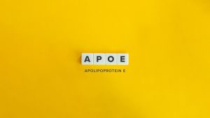 Bei manchen Menschen könnte ein höherer Fleischkonsum das Alzheimer-Risiko senken 1