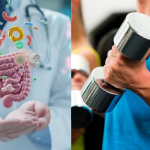 Muskelkraft im Alter: Könnte das Darmmikrobiom eine Rolle spielen? 2