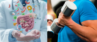 Muskelkraft im Alter: Könnte das Darmmikrobiom eine Rolle spielen? 2