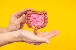 Muskelkraft im Alter: Könnte das Darmmikrobiom eine Rolle spielen? 4
