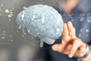 Wissenschaftler entdecken eine verborgene Veränderung im Gehirn, die etwa im Alter von 50 Jahren einsetzt 1