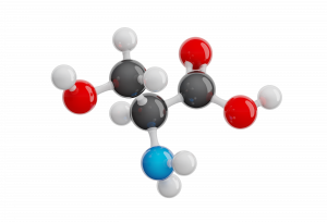 Menin: Kann ein Protein im Gehirn den Alterungsprozess beeinflussen? 3