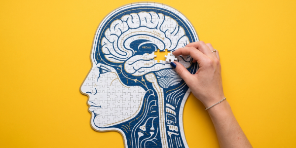 Alzheimer vorbeugen: Wie Gene und Bewegung die Widerstandskraft des Gehirns beeinflussen