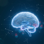 Alzheimer: Warum manche Gehirne trotz Krankheit geistig fit bleiben