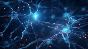 Alzheimer: Warum manche Gehirne trotz Krankheit geistig fit bleiben 2
